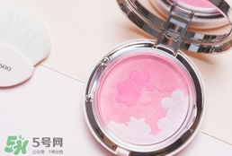 ѩ����÷����������ɫ�� ѩ���㻨��������ɫ